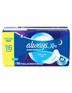 ALWAYS MAXI PROTEC SECA...